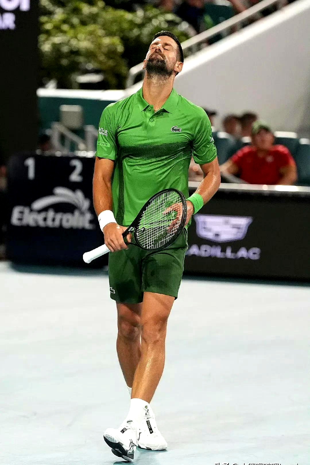 2025九游游戏排行榜关于德约科维奇新星领先优势明显表现突出,美国队前途光明!的信息